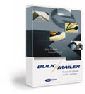 Satori Software Bulk Mailers 5